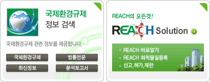 ȯ ˻ / REACH Solution